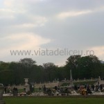 paris-8
