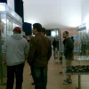 imag015