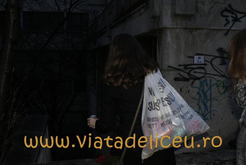 _dsc0646