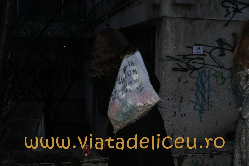 _dsc0647