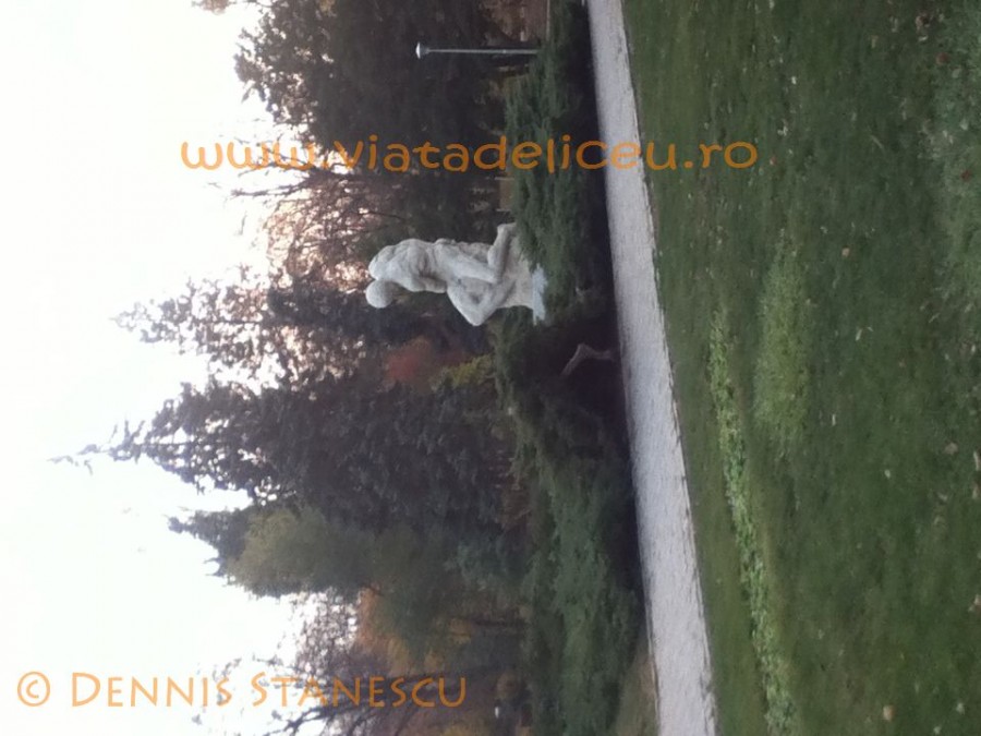Parcul Carol 9
