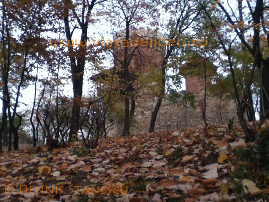 Parcul Carol 2